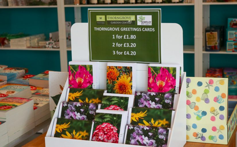 Eco-Friendly Thorngrove Greetings Cards!