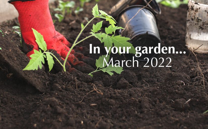March…in your garden