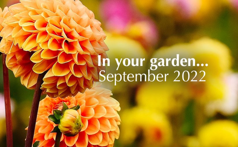 Gardening Tips – September 2022