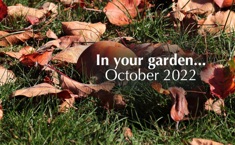 October – Garden Jobs