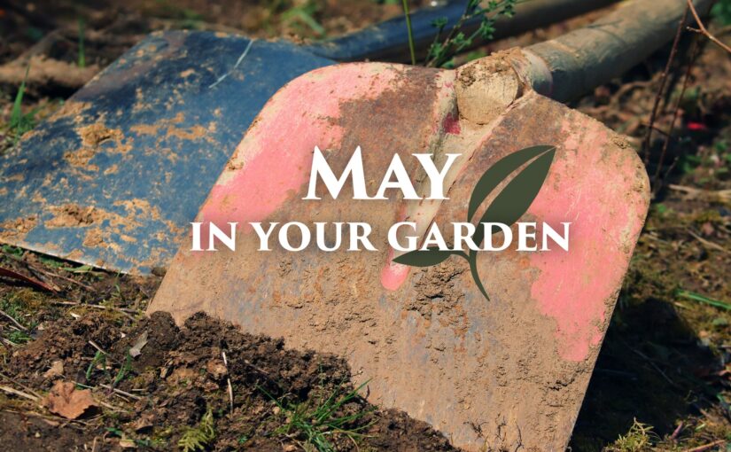 Garden Tips – May